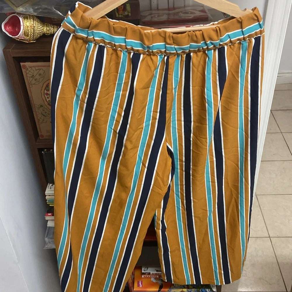 Zara Multicolor Striped Pants - Picture 2 of 5